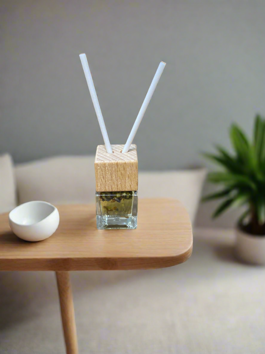 Car Diffuser (Air Freshener)