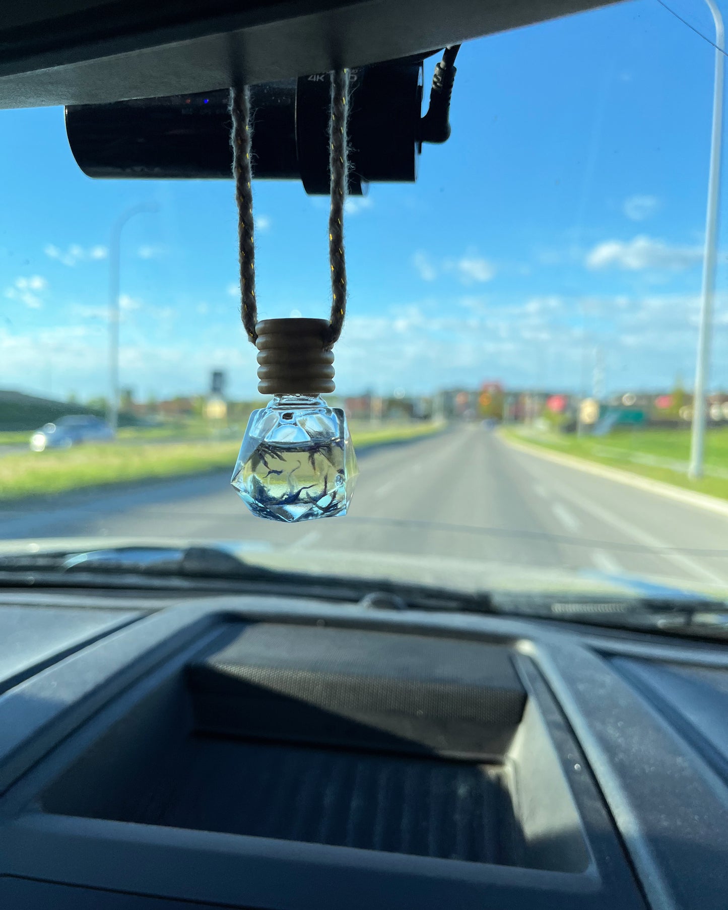 Car Diffuser (Air Freshener)